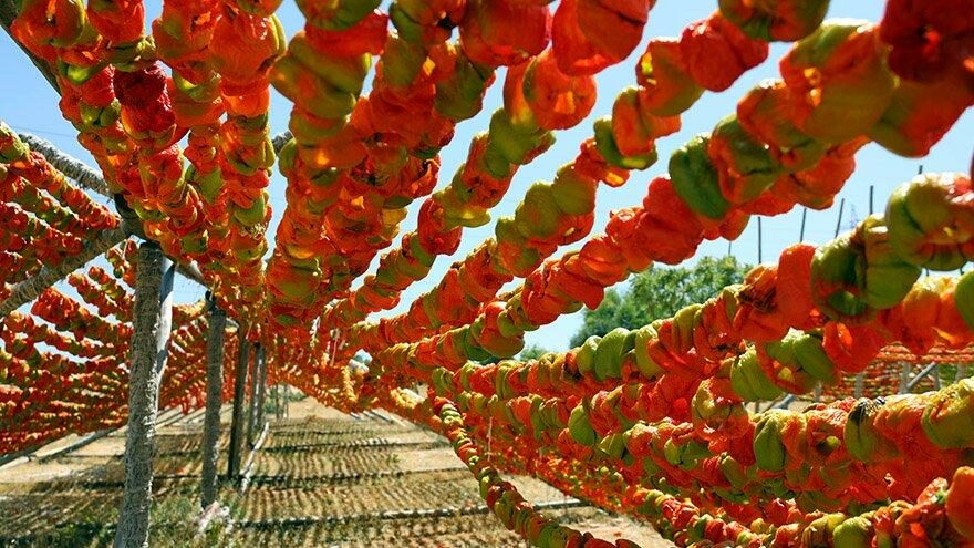Gastronomi kentinde rengarenk kurutmalık sezonu başladı