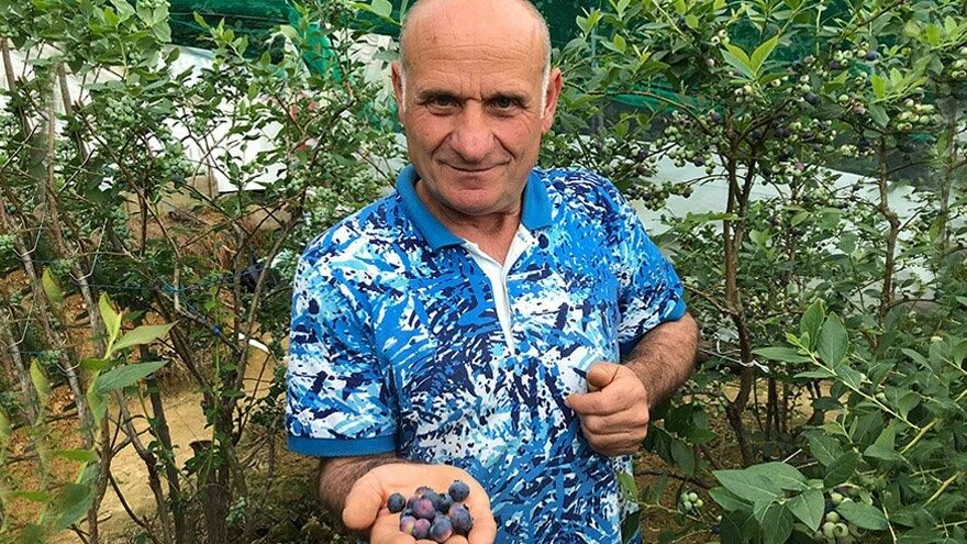 Sadece 1 dönümden 100 bin lira kazanıyor