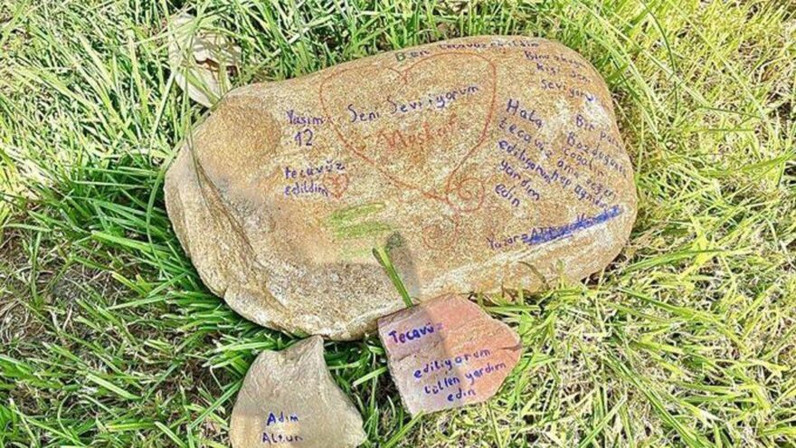 Taşa ‘tecavüz ediliyorum’ yazmıştı! Bakanlıktan açıklama