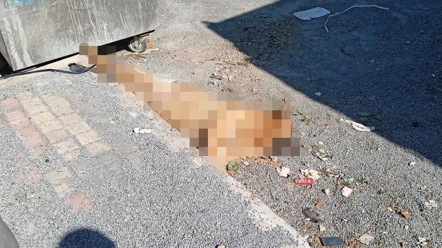 Köpeği öldürüp arka ayakları bağlı halde çöp konteynerinin yanına attılar