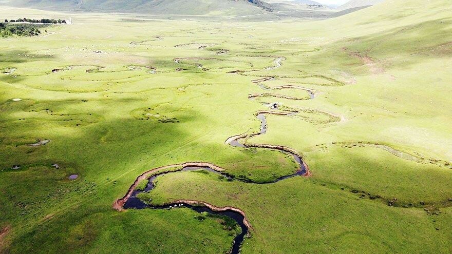 Karadeniz’in menderesleriyle ünlü Perşembe Yaylası doğaseverleri ağırlıyor