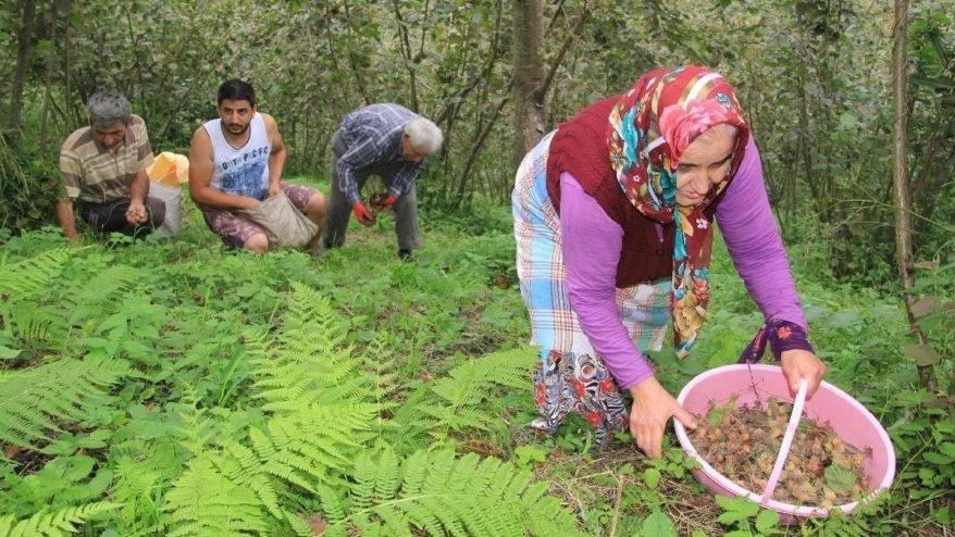 30 TL’den aşağısını kabul etmiyorlar