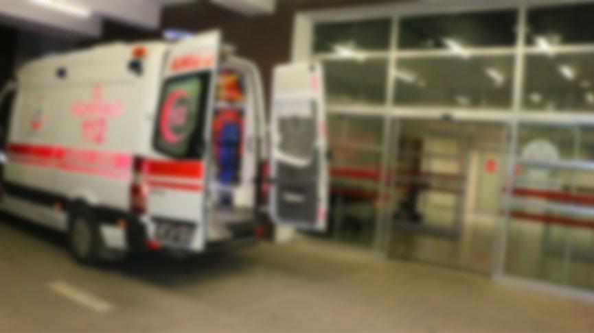 Mantar toplamaya gitti, ölü bulundu