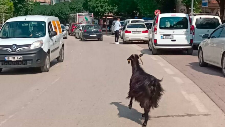Trafiği alt üst ettiler