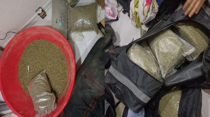 55 kilo bonzai ele geçirildi, polis her yerde ‘Çaki’yi arıyor