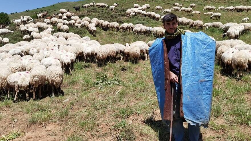 Tunceli’den Hollanda’ya uzanan bir başarı hikayesi
