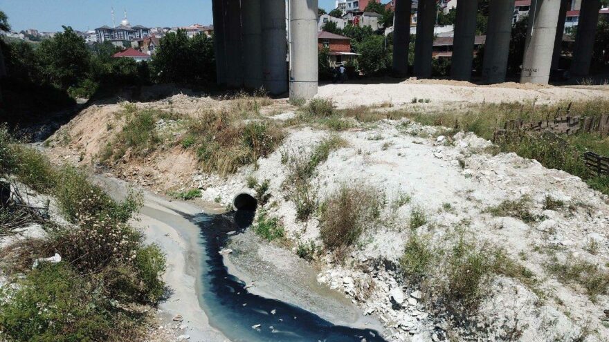 Şamlar Gölü’ne akan dereye kimyasal atık karıştı
