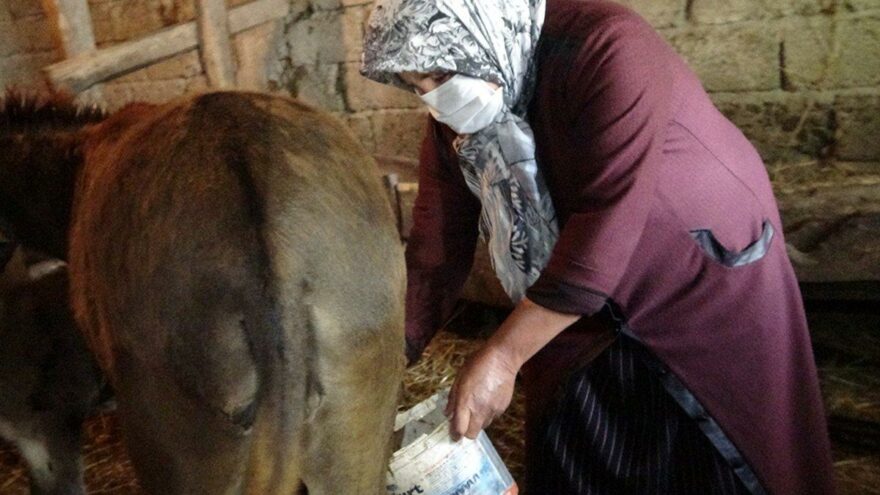 Litresi 100 TL’den satılıyor, insanlar alabilmek için sıraya giriyor