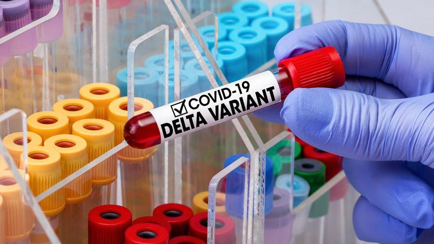 Delta ile Delta plus varyantlarının farkı nedir?