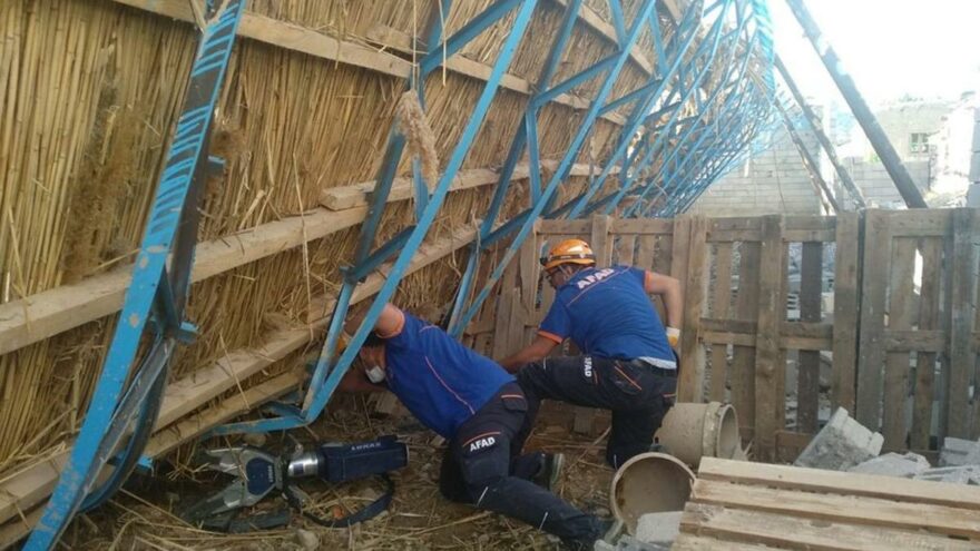 Ahır inşaatı çöktü, yüzlerce hayvan göçük altında kaldı