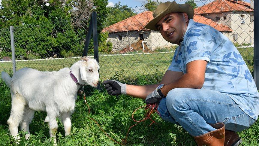 Lüks hayatını bıraktı, memleketine yerleşti
