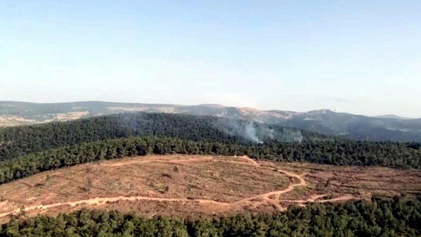 İzmir Bergama’da orman yangını