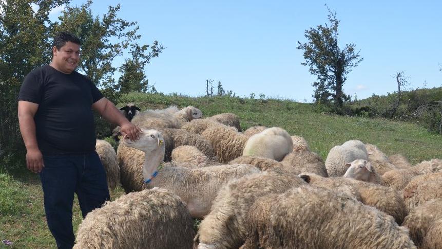 7 bin lira maaşı bıraktı, köyünde çobanlığa başladı