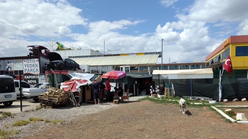 Ankara’da 6 köpeğin ölümünde ‘zehirli tavuk eti’ incelemesi