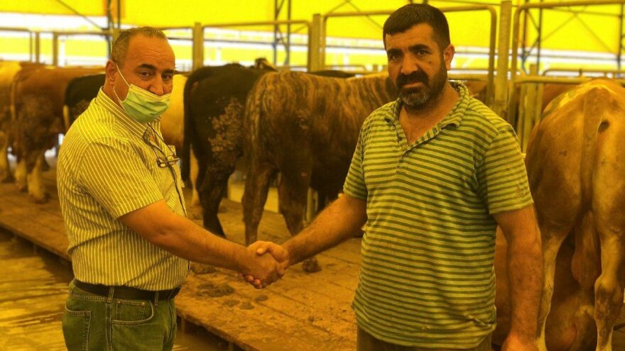 Kurbanlık satışları başladı, fiyatlar geçen yıla göre arttı