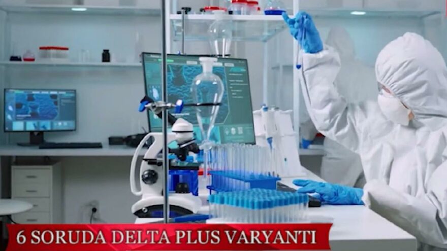 Delta Plus Varyantı: 6 soru 6 cevap!
