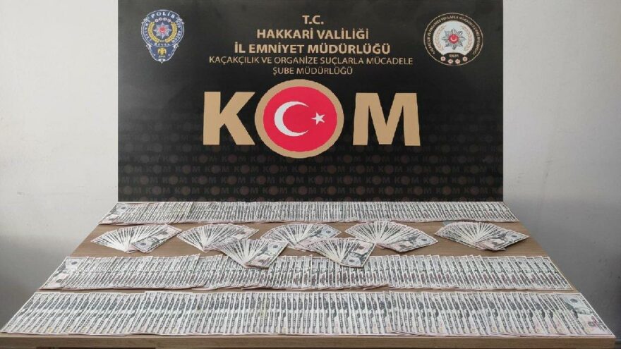 Hakkari’de sahte 48 bin 100 dolar ele geçirildi