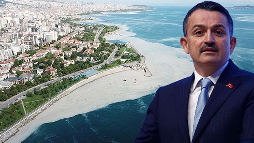 ‘Marmara Denizi’nden çıkan balık yenir mi?’ sorusuna Bakan Pakdemirli’den yanıt