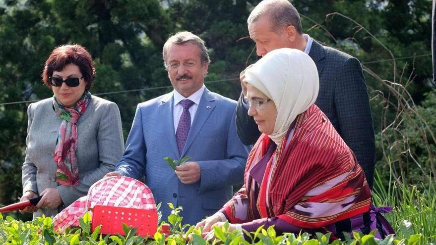 Çay toplayan başkana kamuda yeni görev