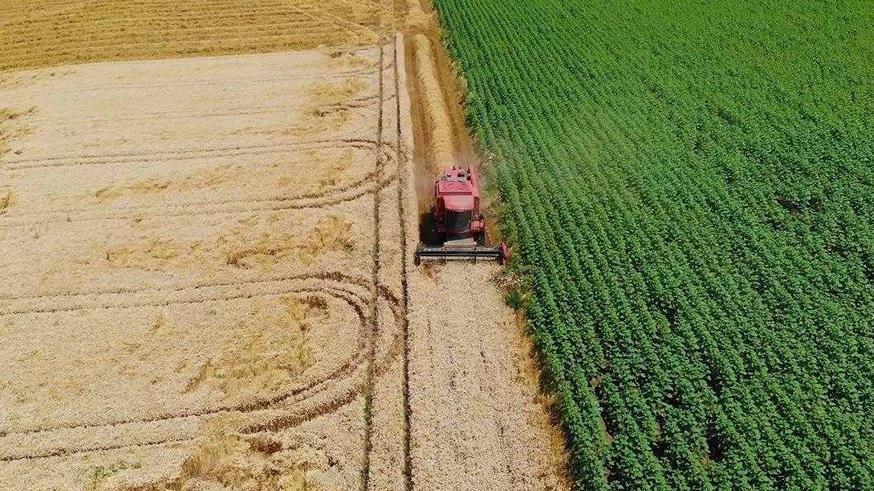 Ekonomik çöküş yaşayan 46 bin çiftçi pes etti