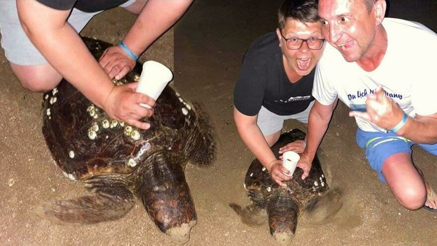 Caretta carettaya eziyet edip sosyal medyadan paylaştılar