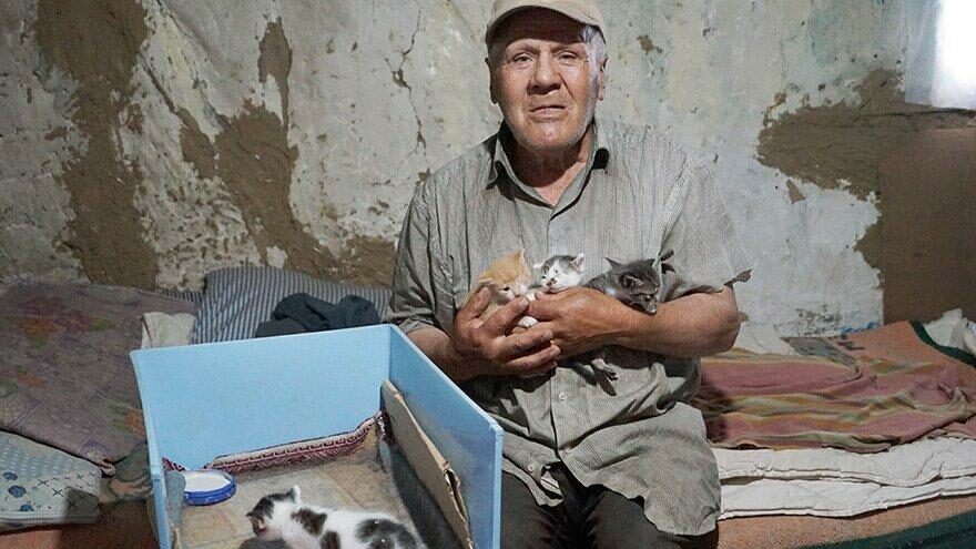Barakada yaşıyor, bir lokma ekmeğini 36 kedi ile paylaşıyor