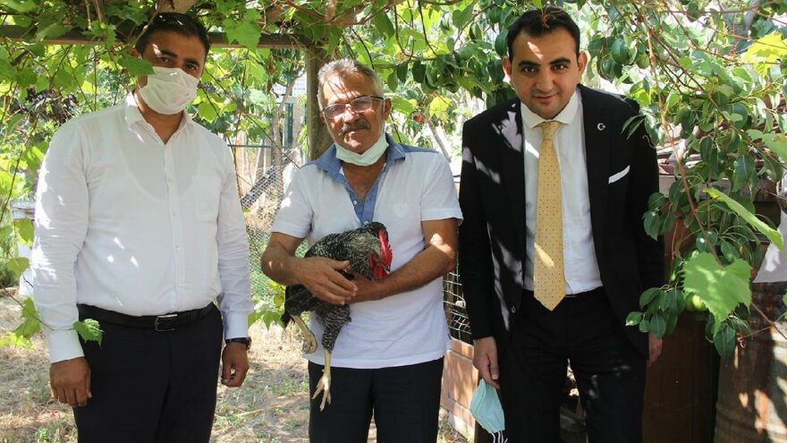 Sinop’ta akıllara durgunluk veren olay! Herkes bu horozu konuşuyor