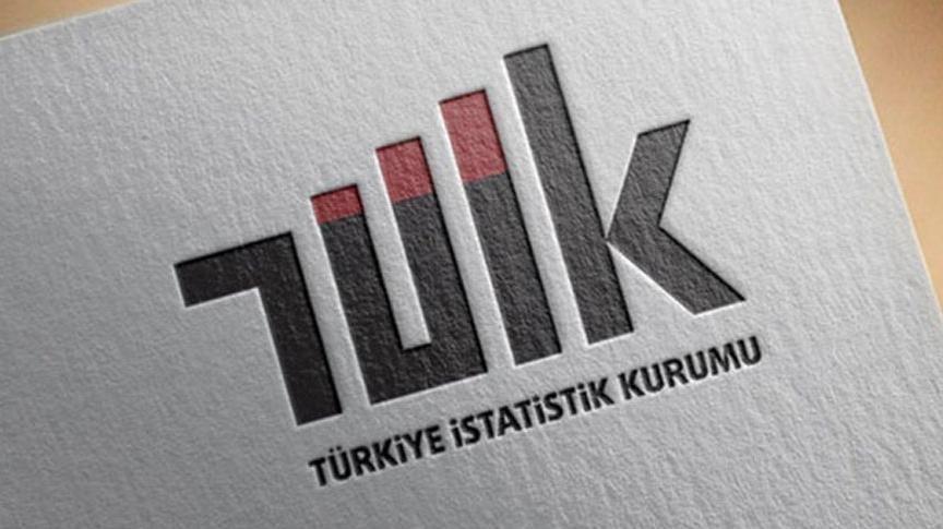 TÜİK’ten ‘göç istatistikleri’ için erteleme duyurusu
