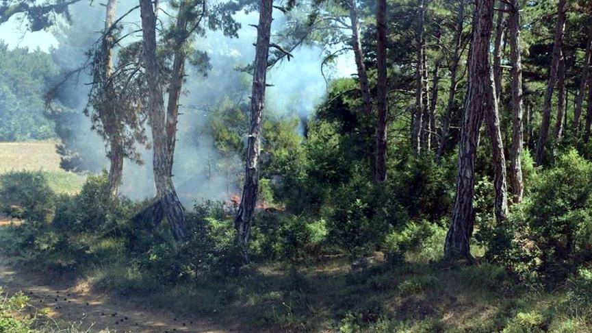 Malkara’daki orman yangınında sabotaj şüphesi