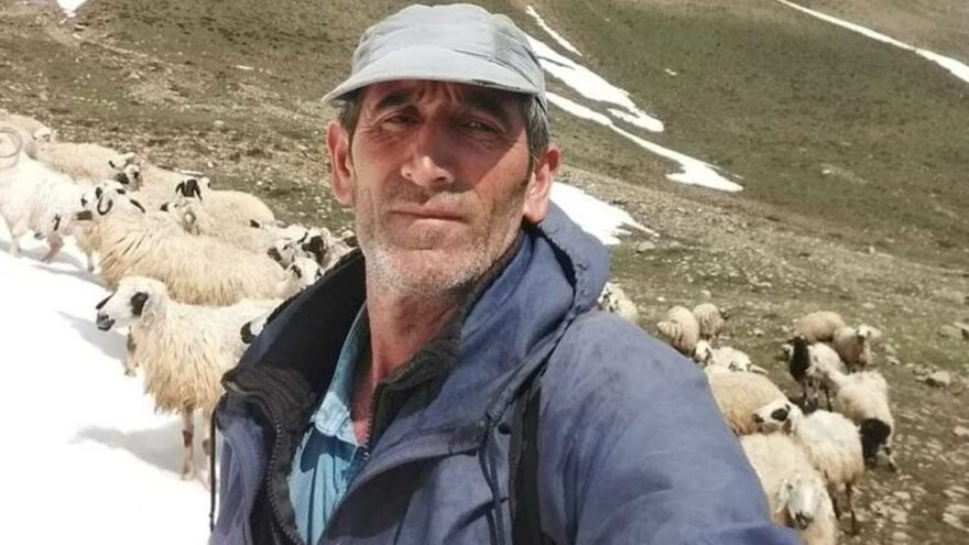 Tunceli’de ayı saldırısına uğrayan vatandaş yaralandı