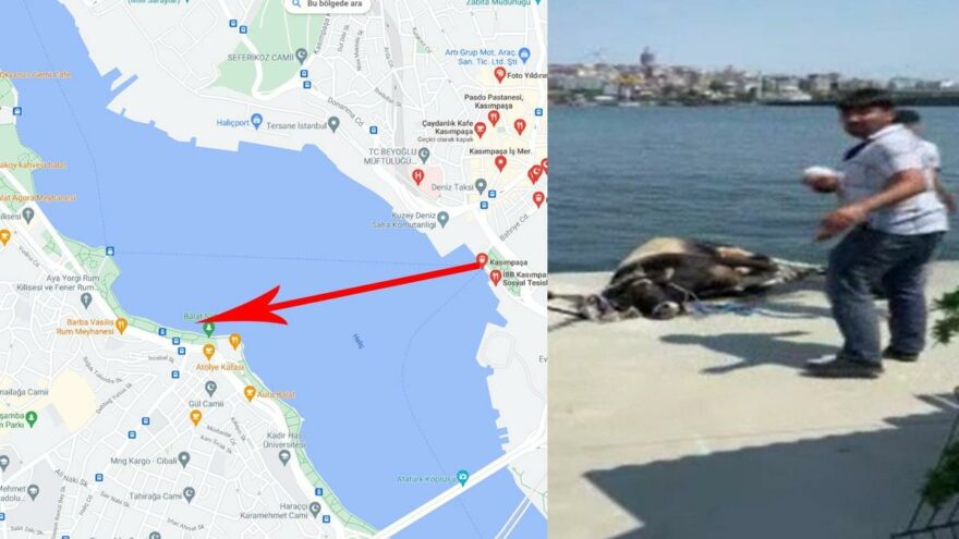 Kasımpaşa’dan denize atlayıp Balat’a kadar yüzdü ama kurtulamadı