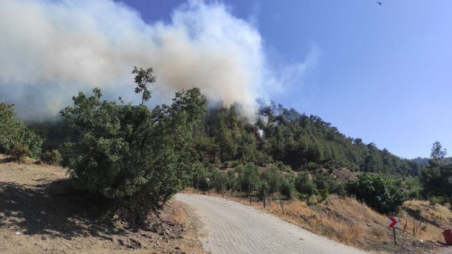 Kahramanmaraş’ta orman yangını