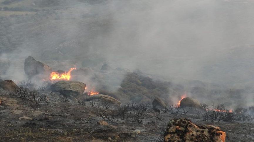 Avşa Adası’nda orman yangını