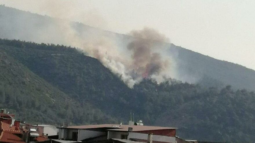 Soma’da orman yangını