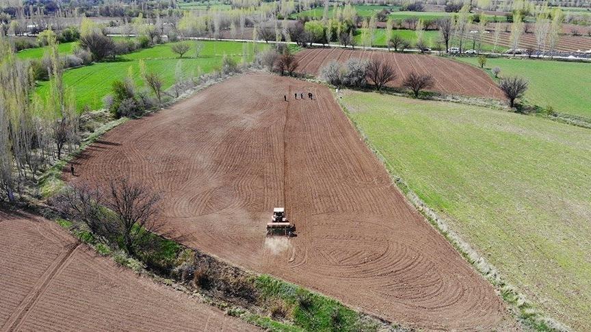 Denizli Serinhisar’da 17.196 metrekare tarla icradan satılacak