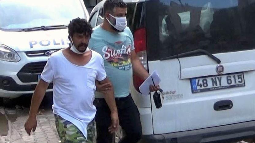 Bir köpek daha öldürüldü