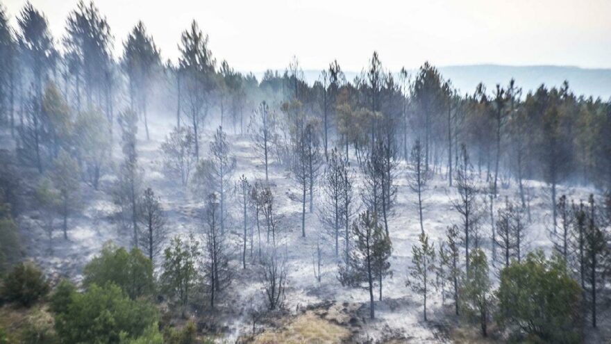 Kastamonu’da orman yangını