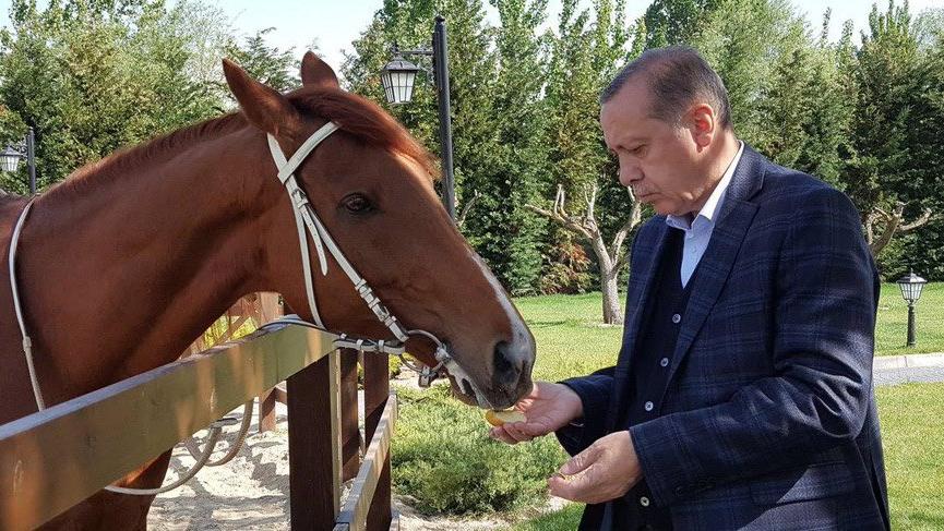 Cumhurbaşkanı Erdoğan 14 yıl sonra ata bindi