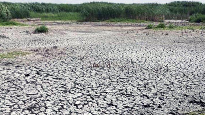 Eber Gölü kurudu! ‘Tükenmez sandık, canlıymış bilemedik’