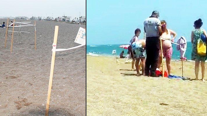 Caretta yuvalarının üstünde güneşlendiler