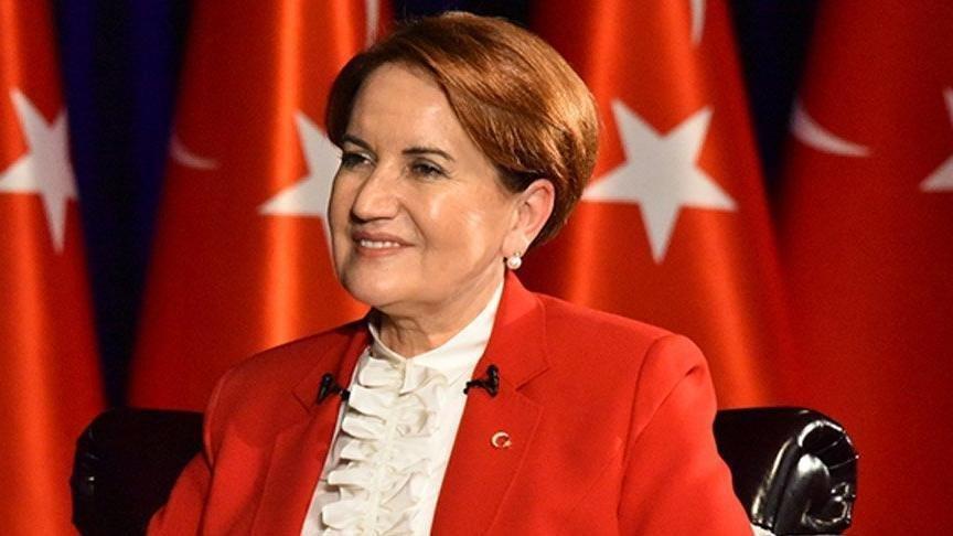 TEMA Vakfı’nın fidan bağışı kampanyasına Akşener’den destek
