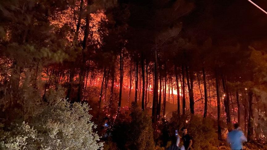 Muğla Fethiye Ölüdeniz’de orman yangını çıktı! Belediye başkanından açıklama