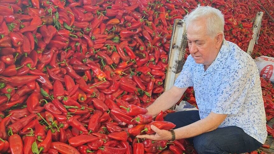 Pazarda salça satıcılığından 6 fabrikalı günlere