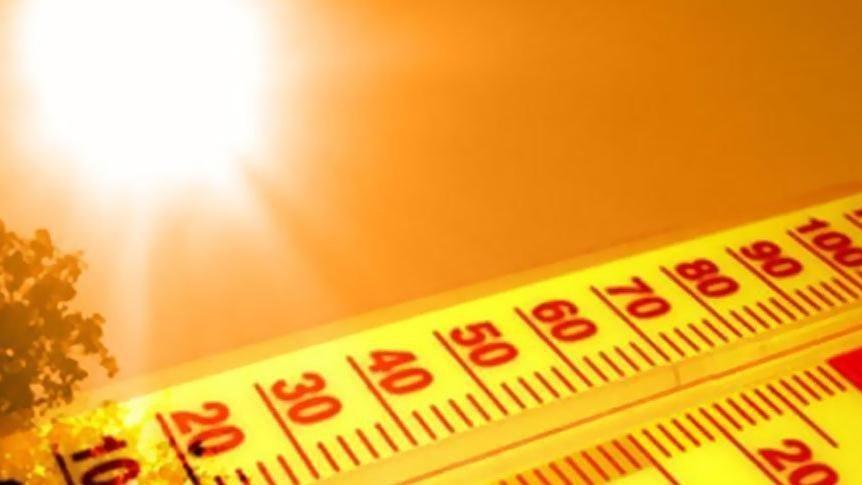 Mevsim normallerini 8 derece aştı…. Kavurucu sıcaklar bitmiyor