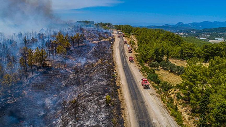 Orman yangınlarında son durum! AFAD il il açıkladı