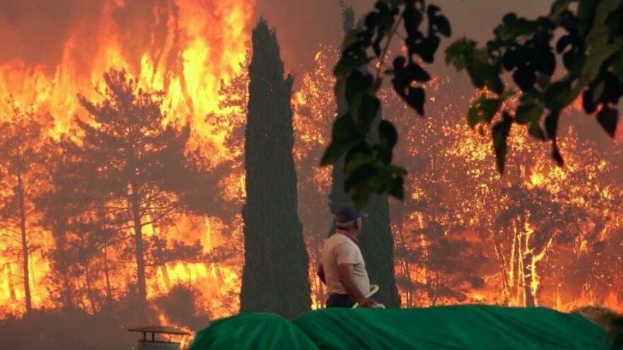 Ormanlar yanarken kayyum THK başkanı düğüne gitmiş - Son dakika haberleri