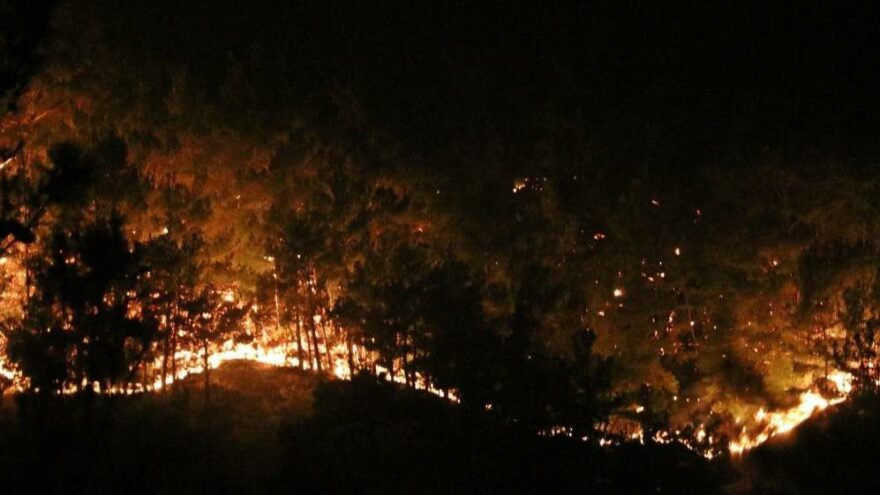 Manavgat’tan acı haber: Alevlerin arasında kalan 2 orman işçisi hayatını kaybetti