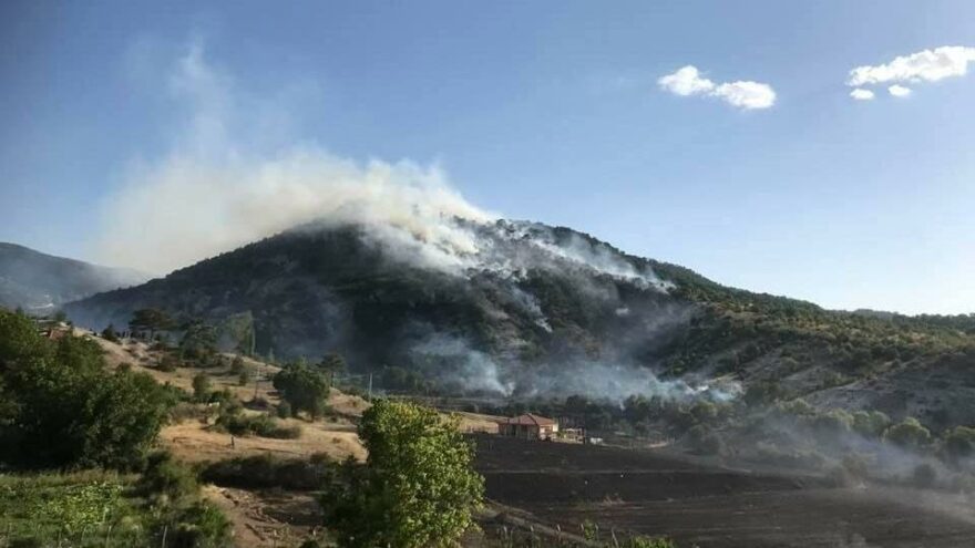 Ormana girmek yasaklandı mı? Hangi illerde ormana giriş yasak?
