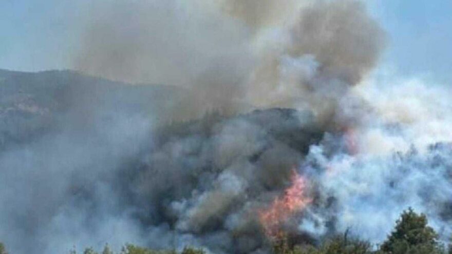 Aydın Bozdoğan'da yangın başladı - Son dakika haberleri