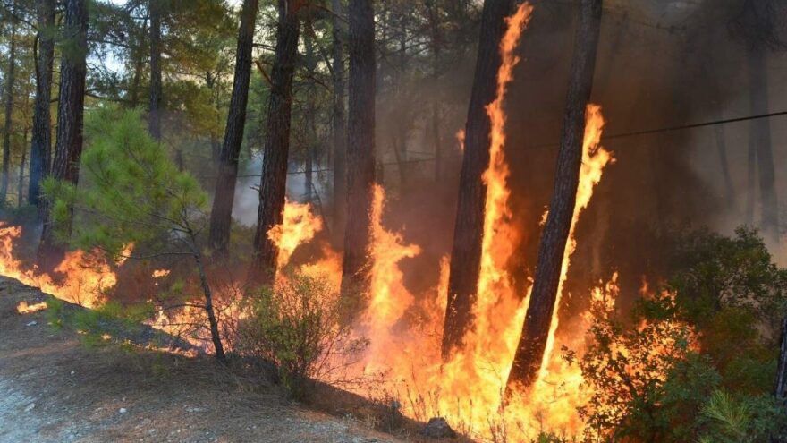 Marmaris’te yanan yerlere maden ruhsatı verilmiş